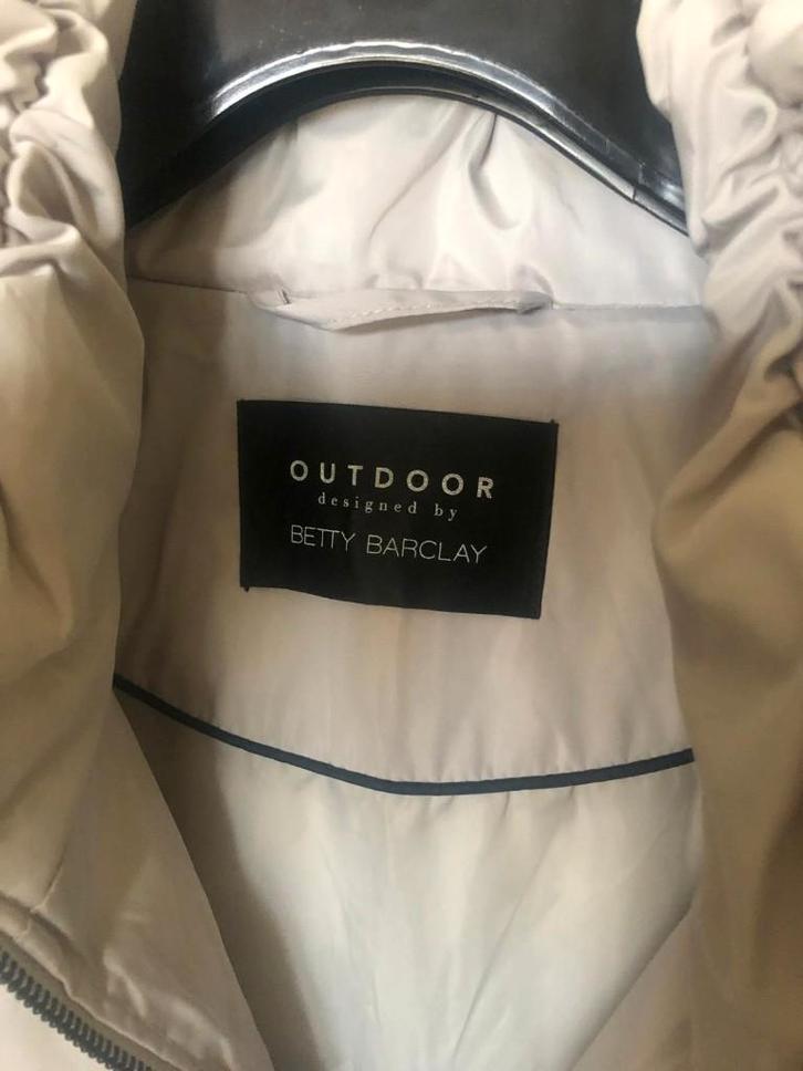 Betty Barclay winterjas maat 40, Kleding | Dames, Jassen | Winter, Gedragen, Maat 38/40 (M), Grijs, Ophalen of Verzenden