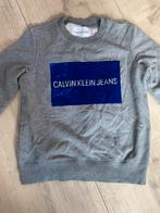 Calvin Klein Trui, Ophalen, Zo goed als nieuw, Maat 46 (S) of kleiner, Grijs