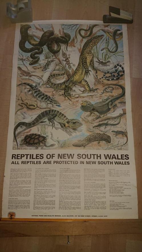 Vintage Poster National Parks and Wildlife Service Sydney, Verzamelen, Posters, Gebruikt, Dier of Natuur, Deurposter of groter