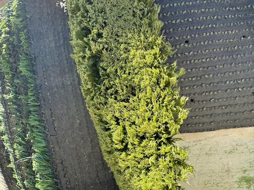 Kunstgras gebuikt 220 m2 van hockey veld, Tuin en Terras, Gras en Kunstgras, Zo goed als nieuw, Kunstgras, 20 m² of meer, Ophalen