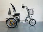 Prachtige Van Raam Easy Go, scootmobielfiets, 880Wh accu!, Ophalen of Verzenden, Zo goed als nieuw, Van Raam