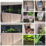 Compleet Eheim vivaline led aquarium, Dieren en Toebehoren, Vissen | Aquaria en Toebehoren, Ophalen, Zo goed als nieuw, Gevuld zoetwateraquarium