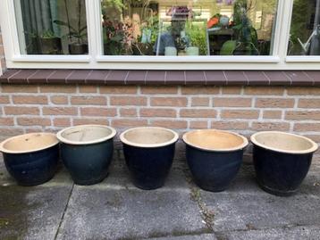 Blauwe geglazuurde bloempotten voor buiten beschikbaar voor biedingen