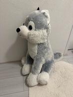 Husky XL 80cm Groot pluche knuffel, Ophalen, Zo goed als nieuw, Hond