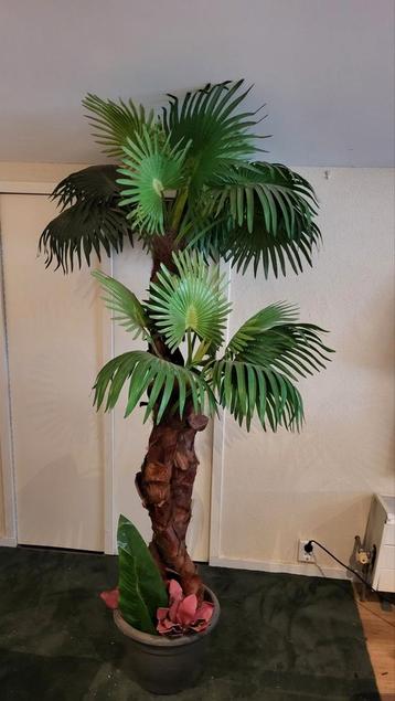 Kunstplant Palmboom met twee strengen beschikbaar voor biedingen