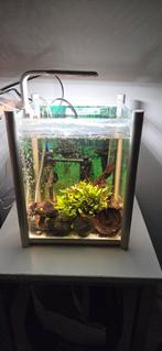 Aquarium met inhoud en apparatuur, Ophalen, Gevuld zoetwateraquarium