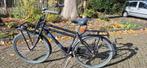 Cortina fiets, Versnellingen, Ophalen, Overige merken, 53 tot 56 cm