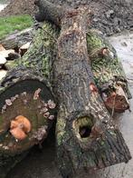 3 boomstammen te koop!, Tuin en Terras, Haardhout, 3 tot 6 m³, Ophalen of Verzenden, Stammen