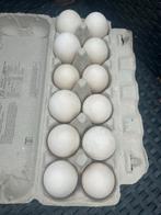 Eenden eieren voor consumptie, Ophalen of Verzenden