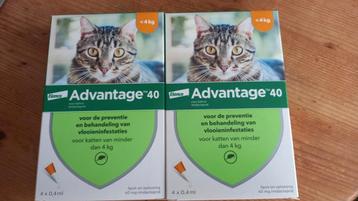 Vlooiendruppels voor katten.
Advantage 40.😺 beschikbaar voor biedingen