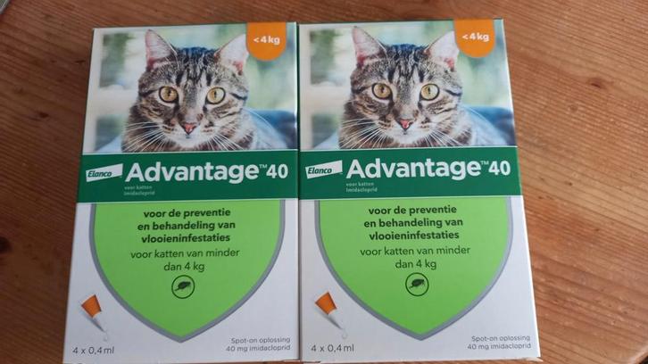 Vlooiendruppels voor katten.
Advantage 40.😺, Dieren en Toebehoren, Katten-accessoires, Nieuw, Ophalen of Verzenden