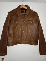 Nieuw leren jack van Superdry XL, Bruin, Superdry, Maat 42/44 (L), Nieuw
