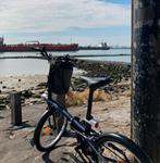 Opvouwbare fiets decathlon, Ophalen, Zo goed als nieuw, 20 inch of meer, Overige merken