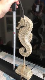 Mooi groot zeepaard Riverdale, Ophalen of Verzenden, Nieuw