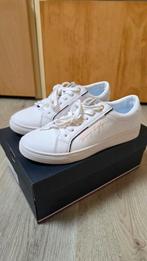 Tommy Hilfiger Signature Sneaker leather Maat 37, Kleding | Dames, Schoenen, Wit, Ophalen of Verzenden, Tommy Hilfiger, Sneakers of Gympen