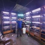 Ik onderhoud je aquarium voor 12 maanden, Dieren en Toebehoren, Ophalen of Verzenden, Zo goed als nieuw, Overige typen
