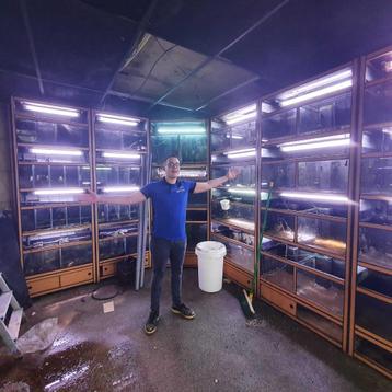 Aquarium onderhoud service beschikbaar voor biedingen