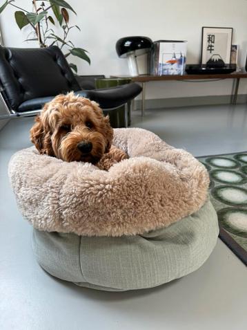Sif pooch handgemaakte draagbare hondenmand pastelgroen beschikbaar voor biedingen