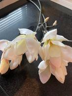 Kunst Lelie Takken - 2 Stuks - 60cm, Ophalen of Verzenden, Nieuw, Binnen