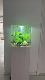 Biorb cube 60 met bijpassende stand, Dieren en Toebehoren, Ophalen, Zo goed als nieuw, Leeg aquarium