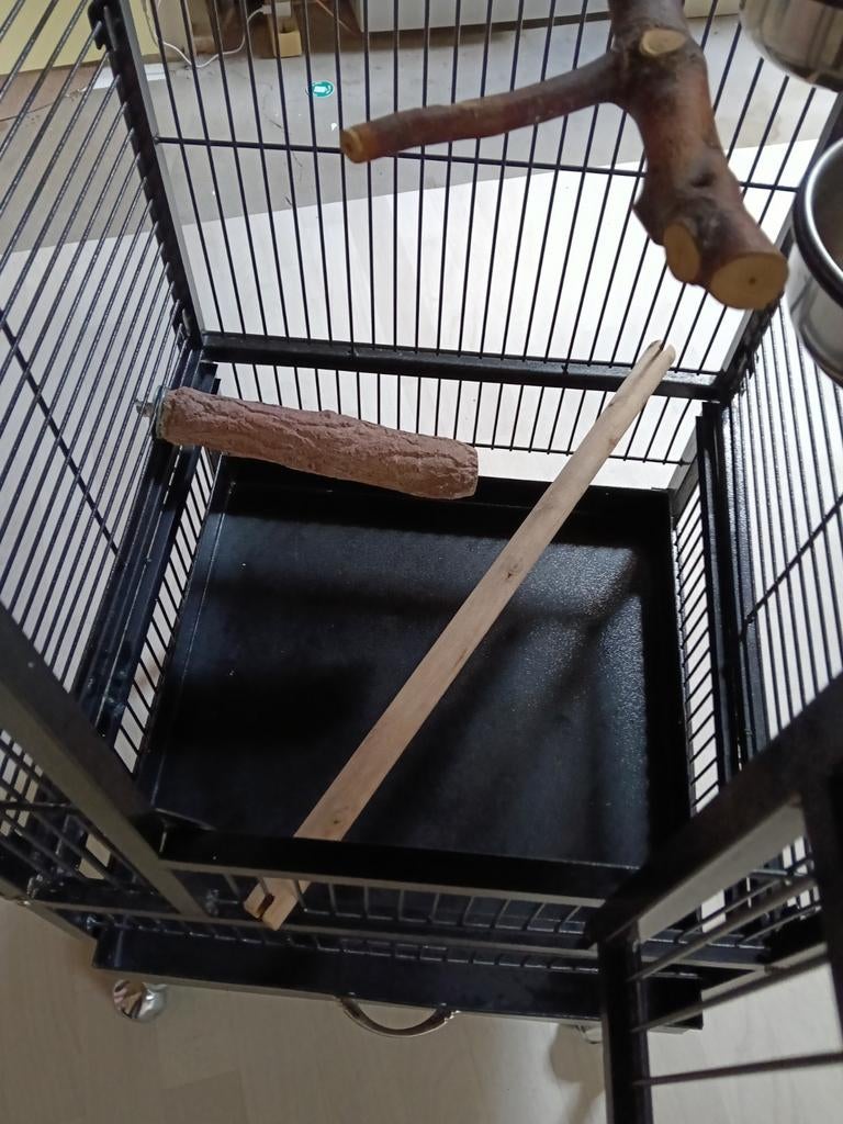 Vogel kooi, Dieren en Toebehoren, Vogels | Hokken en Kooien, Ophalen