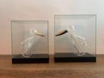 Twee geprepareerde ijsvogels opgezet ijsvogel skelet gewei, Ophalen of Verzenden, Zo goed als nieuw
