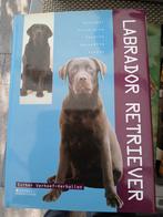 Alles over de Labrador - Boek, Ophalen, Zo goed als nieuw, Honden