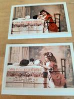 25 ansichtkaarten poezen, ongelopen, Verzenden, 1980 tot heden, Ongelopen, Hond of Kat