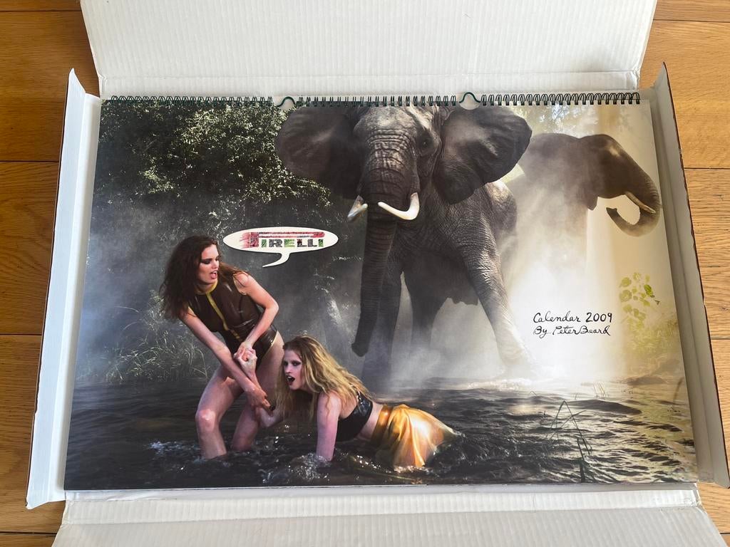 Pirelli Kalender 2009 Peter Beard Wildlife Africa Boxed, Ophalen of Verzenden, Maandkalender, Zo goed als nieuw