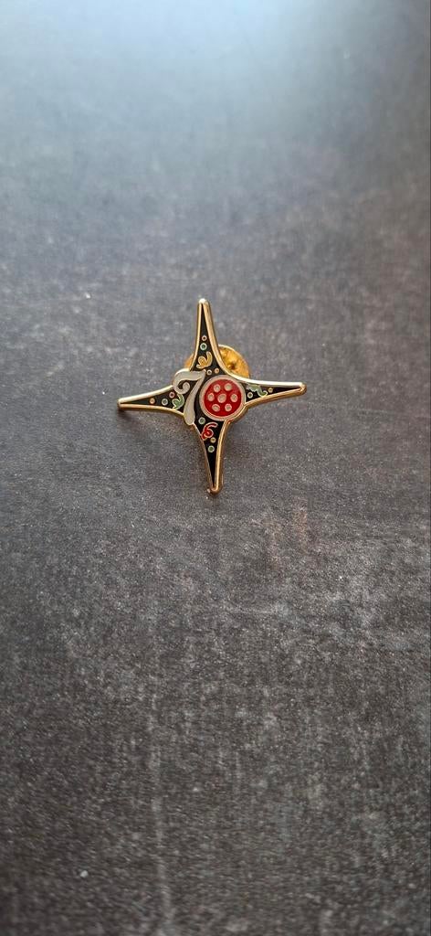 Efteling medewerkerspin 70 jaar, Ophalen of Verzenden, Zo goed als nieuw, Zilver, Overige materialen