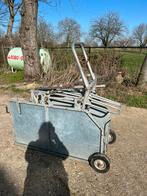 Behandelbox Kantelaar met kantelondersteuning Schapen/geiten, Vrouwelijk, Schaap