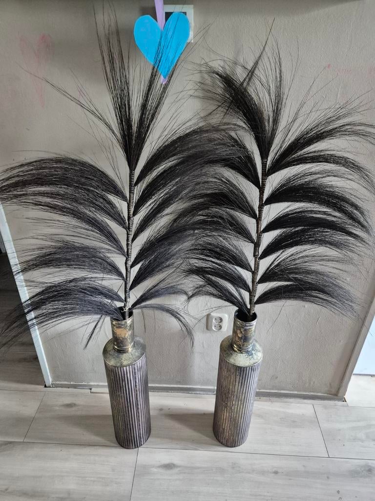 Leuke vasen met pluimen, Ophalen, Gebruikt