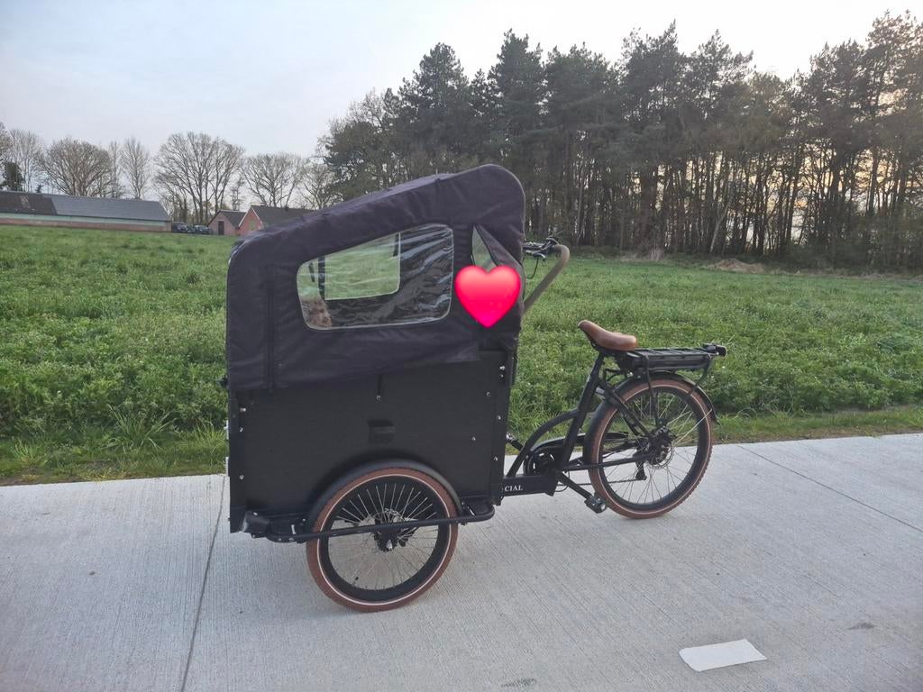 Elektrische Vogue Troy bakfiets met huif, Fietsen en Brommers, Fietsen | Bakfietsen, Ophalen, Gebruikt, 4 kinderen of meer, Huif