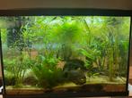 Aquarium superfish 70, Dieren en Toebehoren, Ophalen, Zo goed als nieuw, Leeg aquarium