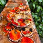 Prachtige wandtegel/bord Ruscha mushrooms!, Antiek en Kunst, Antiek | Keramiek en Aardewerk, Ophalen of Verzenden