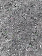 gratis: 6-8 kuub tuinaarde (ik help mee met de kruiwagen), Ophalen, Tuinaarde