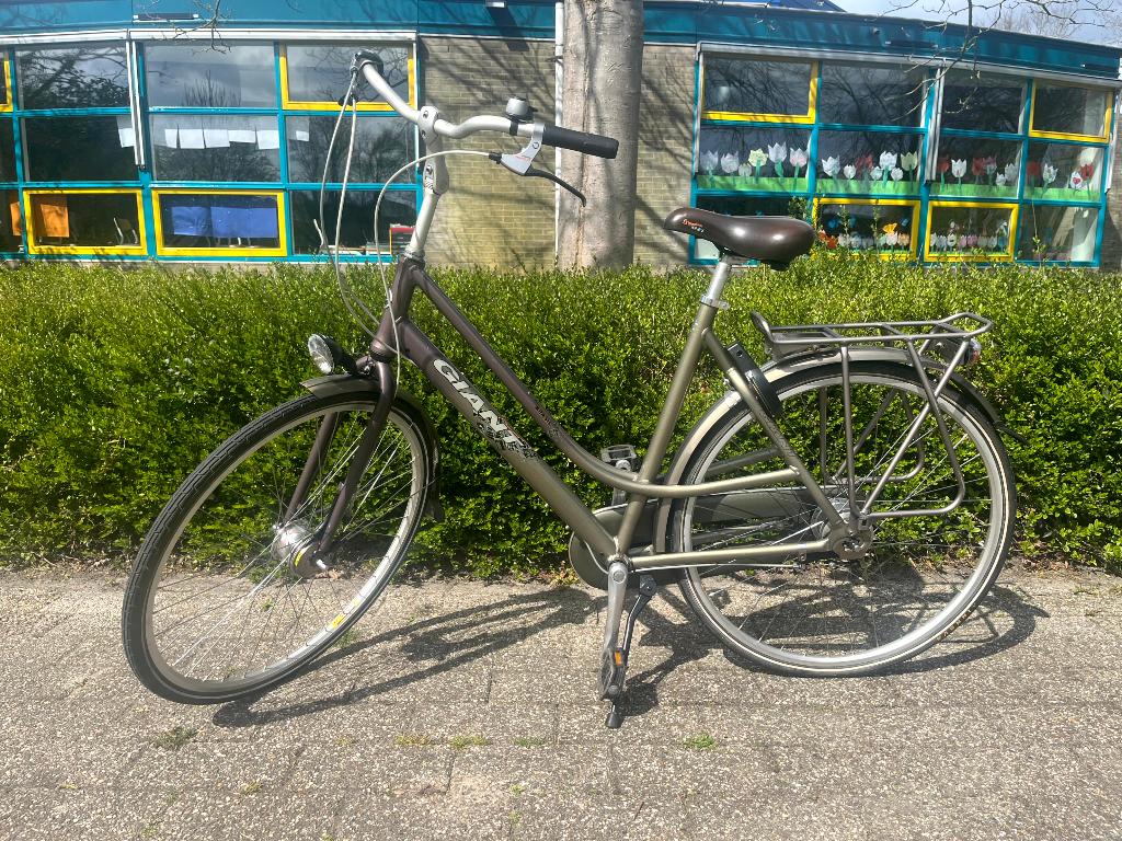 Giant Brasil - 56cm - Nexus 8, Ophalen, 53 tot 56 cm, Versnellingen, Giant