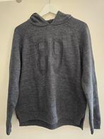 G-Star Grijze Hoodie Maat L -, Maat 42/44 (L), Ophalen of Verzenden, Zo goed als nieuw, Grijs