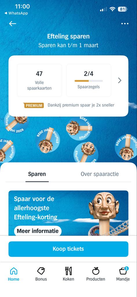 Efteling kaartjes en shoptegoed met dikke korting! AH sparen, Tickets en Kaartjes, Drie personen of meer, Kortingskaart