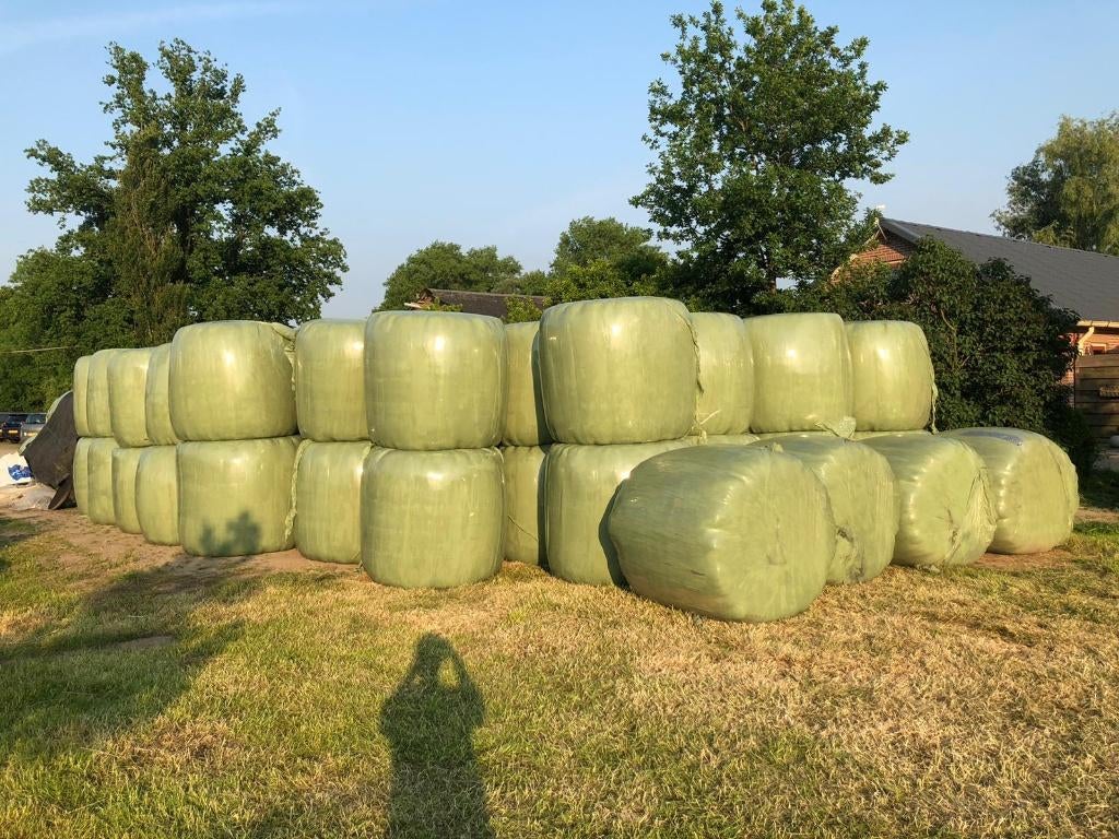 Mooie partij ronde balen te koop, Dieren en Toebehoren, Ophalen, Vee