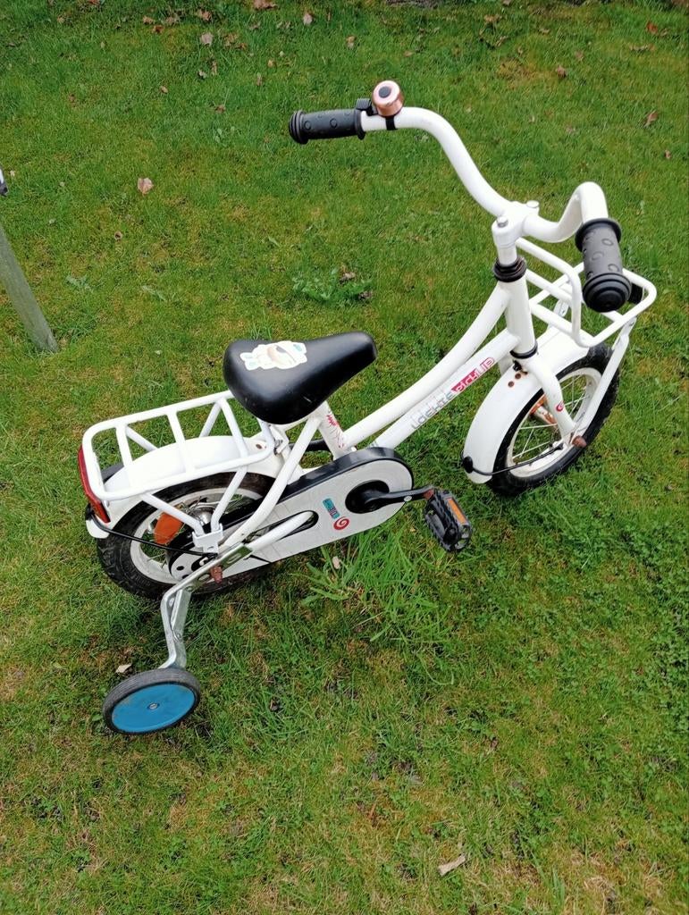 Loekie 12 inch, Ophalen of Verzenden, Gebruikt, Minder dan 16 inch