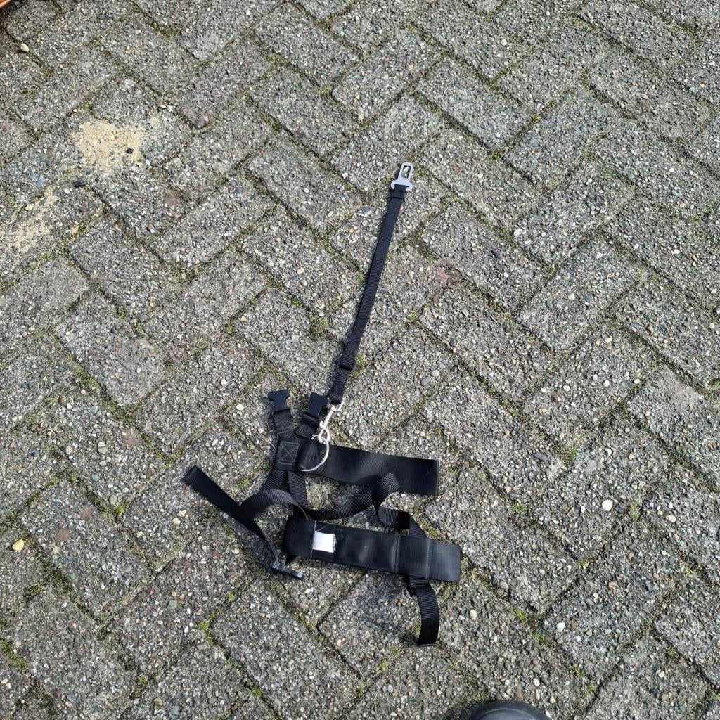 Hondentuigje voor in auto, Auto diversen, Fietsendragers, Ophalen of Verzenden