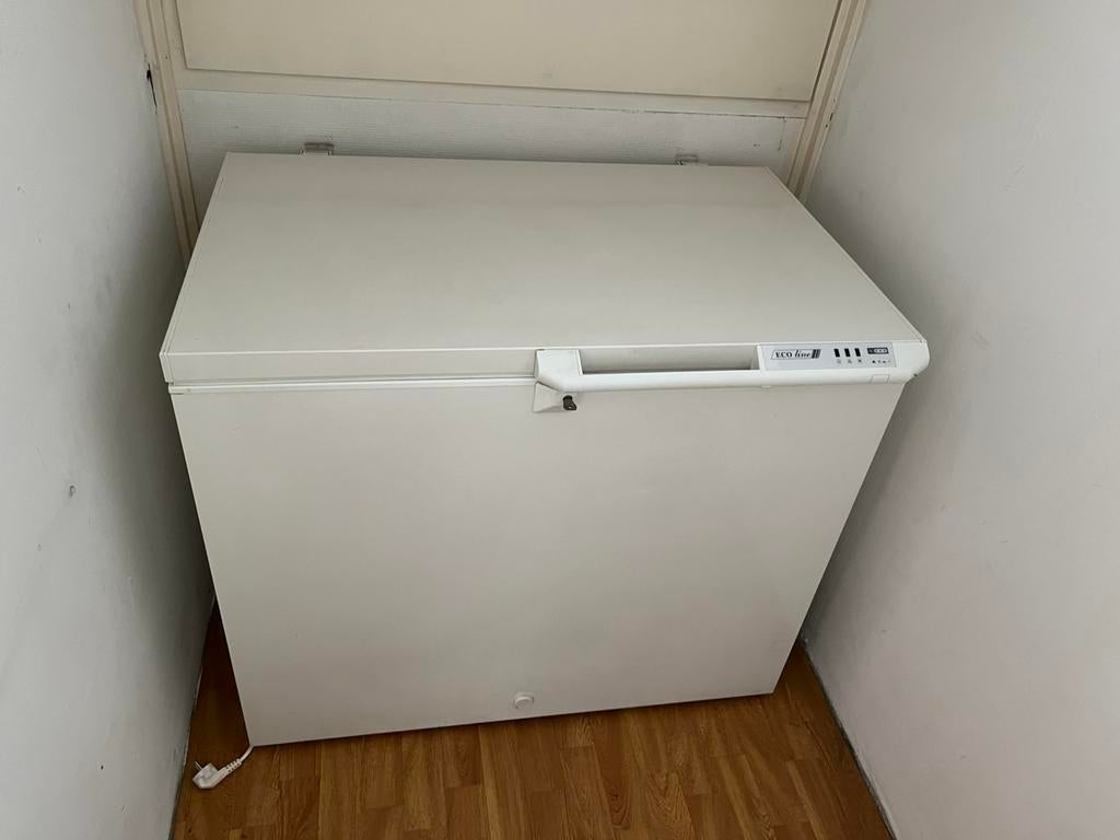 Gratis op te halen nog zuinige Ecoline vrieskist, Vrieskist, Gebruikt, Vrijstaand, 90 cm of meer
