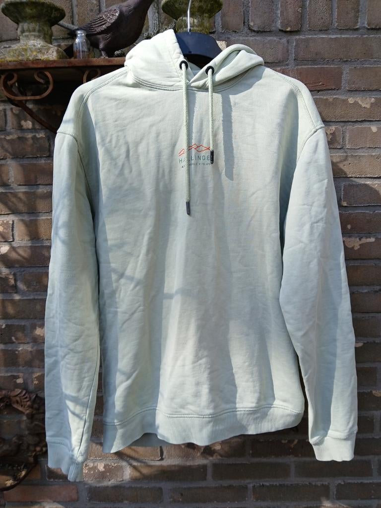 Hooded Hallinger, Ophalen of Verzenden, Gedragen, Maat 52/54 (L), Beige