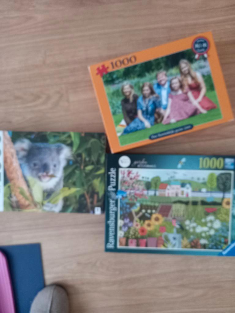 Legpuzzels, Hobby en Vrije tijd, Denksport en Puzzels, Ophalen, 500 t/m 1500 stukjes, Zo goed als nieuw, Legpuzzel