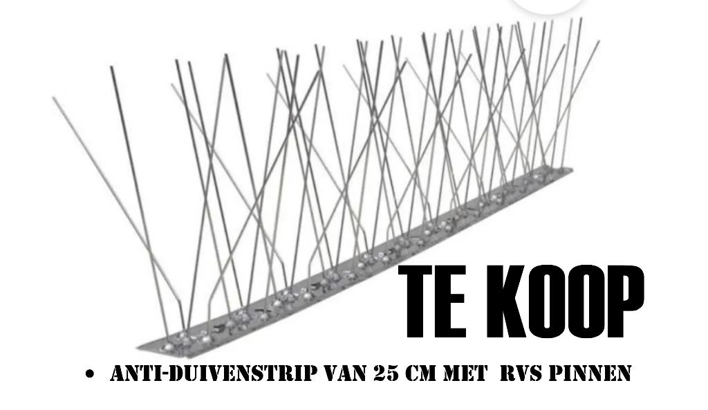 Anti-duivenstrip van 25 cm met  RVS pinnen, Mannelijk, Overige soorten