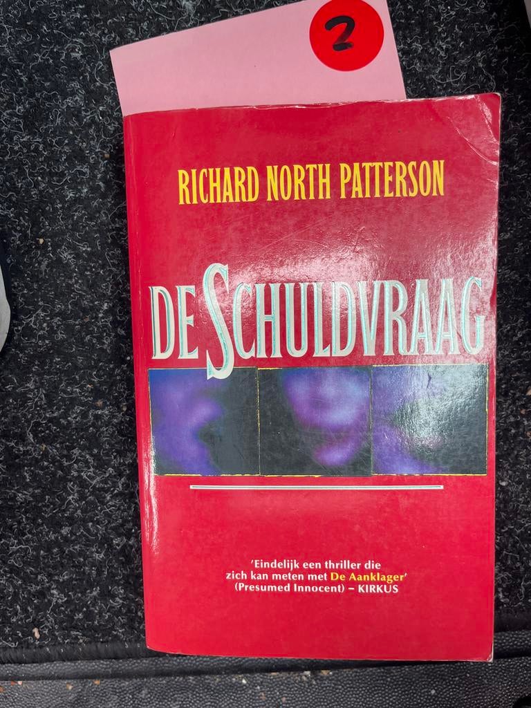 De Schuldvraag - Richard North Patterson (Thriller), Boeken, Ophalen of Verzenden, Zo goed als nieuw, Amerika