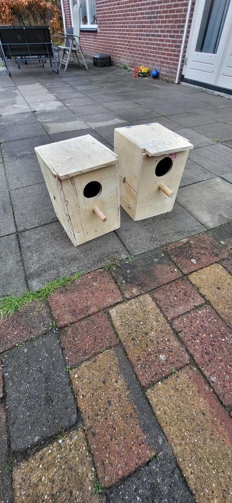 Broedhok voor grote vogels, Dieren en Toebehoren, Vogels | Hokken en Kooien, Ophalen, Gebruikt, Hout, Broedkooi of Kweekkooi