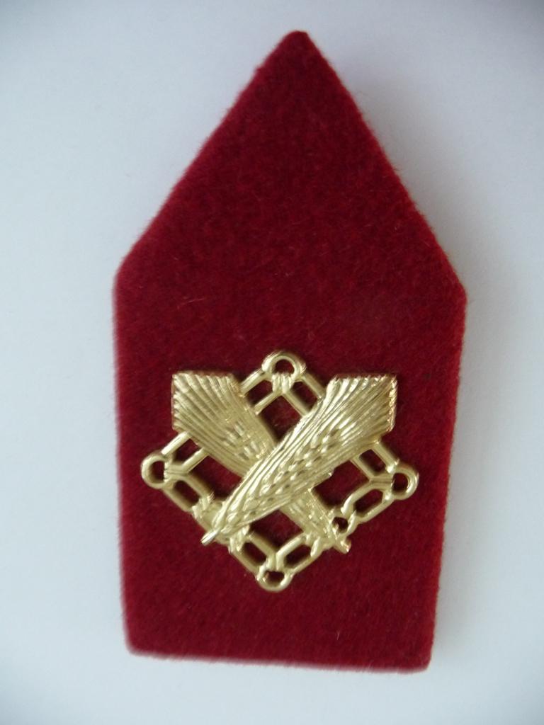 oud kraag embleem - REGIMENT INTENDANCE TROEPEN op epaulette, Verzamelen, Ophalen of Verzenden, Landmacht, Nederland, Embleem of Badge