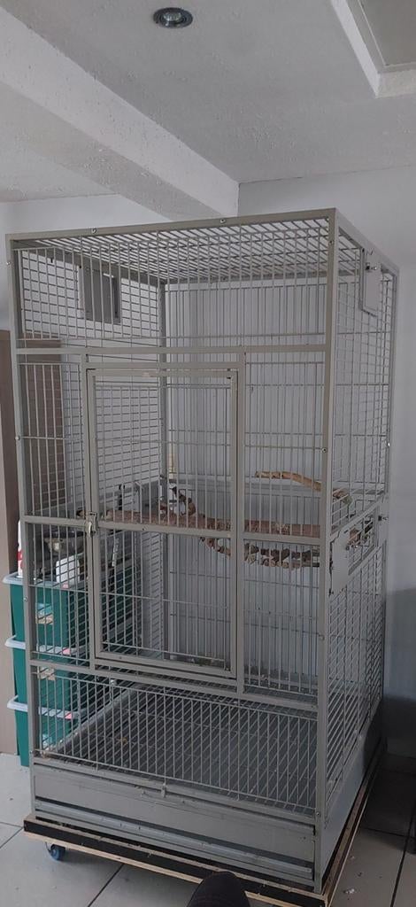 Groote papegaaienkooi en javaboom, Ophalen, Metaal, Vogelkooi